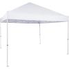 imageAmazon Basics 10 x 10 Pop Up Canopy Tent Outdoor Setup Includes Wheeled Carry Bag 8 Pegs 4 Ropes 4 Weighted Bags BlueWhite