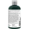 imageAmazon Basics Tea Tree Shampoo 1014 Fl Oz Pack of 1