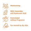 imageAmazon Basics Daily Moisturizing Lotion 12 Fluid Ounces 1Pack12 Fl Oz Pack of 1