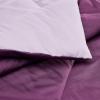 imageAmazon Basics Comforter Blanket TwinTwin XL Reversible Lightweight Microfiber All Season Blanket NavySky BluePlum  Light Purple