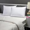 imageAmazon Basics Down Alternative Pillow for Back Side Sleepers Medium Density Standard Size 26quot x 20quot 2Pack WhiteStandard 2 Pack  Protectors
