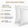 imageAmazon Basics Down Alternative Pillow for Back Side Sleepers Medium Density Standard Size 26quot x 20quot 2Pack WhiteStandard Pack of 2