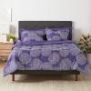 imageAmazon Basics Twin XL Comforter Set with Sheets 5Piece Blue Calvin Striped Bedding Lightweight Microfiber BedinaBagPurple Floral