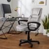 imageAmazonBasics Classic Office Desk Computer Chair  Adjustable Swiveling UltraSoft Microfiber  Light Gray Lumbar SupportLight Gray
