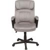 imageAmazonBasics Classic Office Desk Computer Chair  Adjustable Swiveling UltraSoft Microfiber  Light Gray Lumbar SupportLight Gray