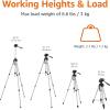 imageAmazon Basics 50inch Lightweight Portable Camera Mount Tripod Stand with Bag for Travel Photography ChampagneGray