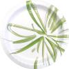 imageAmazon Basics Everyday Paper Plates 10 Inch Disposable 150 Count150 Count Pack of 4