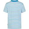 imageNautica Boys Short Sleeve Legacy PoloCoast Stripe Hawiian Ocean