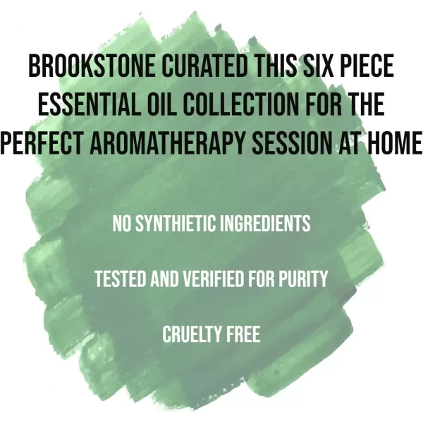 Brookstone Essential Oil Herbal Collection  100 Pure Steam Distilled Therapeutic Grade Essential Oil Set for Aromatherapy Diffuser and Topical Use  6Pack 10ml BottlesBrookstone Essential Oil Herbal Collection  100 Pure Steam Distilled Therapeutic Grade Essential Oil Set for Aromatherapy Diffuser and Topical Use  6Pack 10ml Bottles