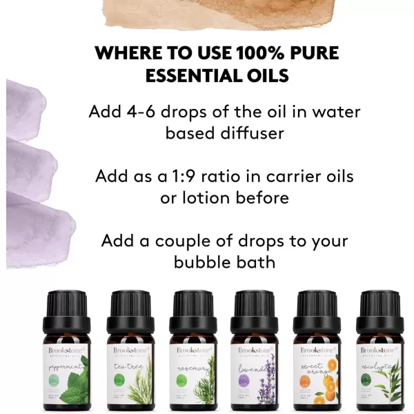 imageBrookstone Essential Oil Herbal Collection  100 Pure Steam Distilled Therapeutic Grade Essential Oil Set for Aromatherapy Diffuser and Topical Use  6Pack 10ml Bottles