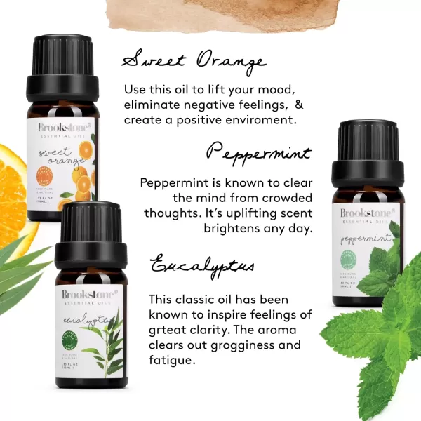 imageBrookstone Essential Oil Herbal Collection  100 Pure Steam Distilled Therapeutic Grade Essential Oil Set for Aromatherapy Diffuser and Topical Use  6Pack 10ml Bottles