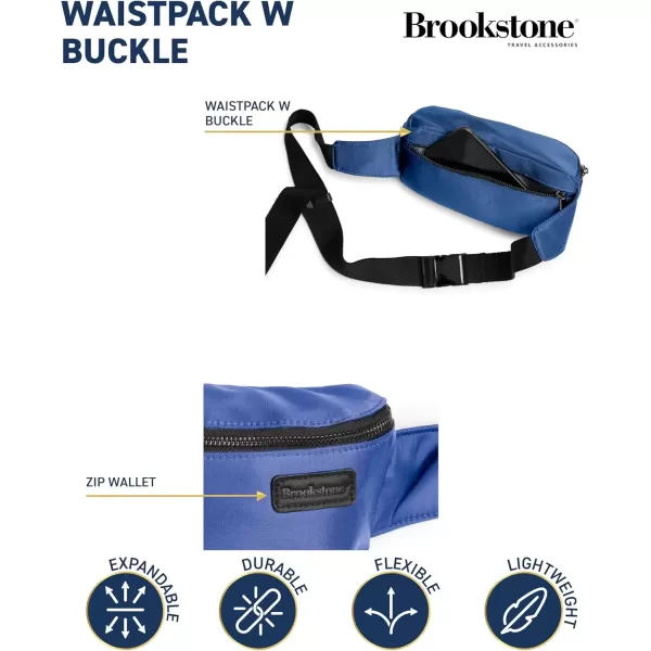 imageBrookstone Fanny Pack  Multi Functional Adjustable Hip Pouch Storage Bag  Lightweight Travel Waistpack for Men and Women NavyNavy