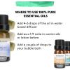 imageBrookstone Essential Oil Blends Sleep Collection  Organic Essential Oil Set for Aromatherapy Diffuser Massage Oil and Candle Scents  3Pack 10ml BottlesUplift Collection