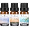 imageBrookstone Essential Oil Blends Sleep Collection  Organic Essential Oil Set for Aromatherapy Diffuser Massage Oil and Candle Scents  3Pack 10ml BottlesUplift Collection