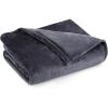 imageBrookstone Electric Heated Plush Blanket w 10 Heat Settings  Adjustable Timer 12Hour Auto Shut Off  Machine Washable ampamp Dryer Safe  Polyester Velvet Blanket Twin Size 62in x 84in  Charcoal