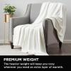 imageBrookstone Nap Plush Throw Blanket for Couch  Warm ampamp Super Soft Blanket with Unmatched Heavy Dense and UltraComfy Throw  Luxurious Drape Cozying Up on a Sofa Chair  BlushWhite