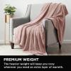 imageBrookstone Nap Plush Throw Blanket for Couch  Warm ampamp Super Soft Blanket with Unmatched Heavy Dense and UltraComfy Throw  Luxurious Drape Cozying Up on a Sofa Chair  BlushBlush