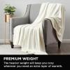 imageBrookstone Nap Plush Throw Blanket for Couch  Warm ampamp Super Soft Blanket with Unmatched Heavy Dense and UltraComfy Throw  Luxurious Drape Cozying Up on a Sofa Chair  BlushIvory