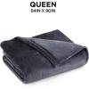 imageBrookstone Electric Heated Plush Blanket w 10 Heat Settings  Adjustable Timer 12Hour Auto Shut Off  Machine Washable ampamp Dryer Safe  Polyester Velvet Blanket King Size 100in x 90in  Grid GrayGrey