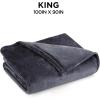 imageBrookstone Electric Heated Plush Blanket w 10 Heat Settings  Adjustable Timer 12Hour Auto Shut Off  Machine Washable ampamp Dryer Safe  Polyester Velvet Blanket King Size 100in x 90in  Grid GrayGrey