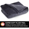 imageBrookstone Electric Heated Plush Blanket w 10 Heat Settings  Adjustable Timer 12Hour Auto Shut Off  Machine Washable ampamp Dryer Safe  Polyester Velvet Blanket King Size 100in x 90in  Grid GrayGrey
