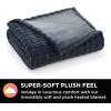 imageBrookstone Electric Heated Plush Blanket w 10 Heat Settings  Adjustable Timer 12Hour Auto Shut Off  Machine Washable ampamp Dryer Safe  Polyester Velvet Blanket King Size 100in x 90in  Grid GrayGray Grid