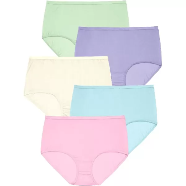 Comfort Choice Women's Plus Size Nylon Brief 5-Pack Underwear
