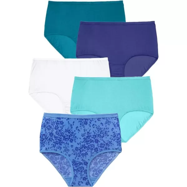 Comfort Choice Women's Plus Size Nylon Brief 5-Pack Underwear