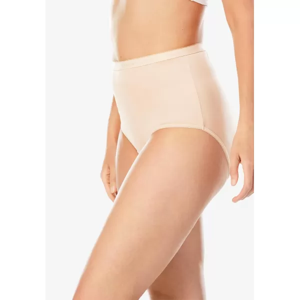 Comfort Choice Women's Plus Size Nylon Brief 10-Pack Underwear