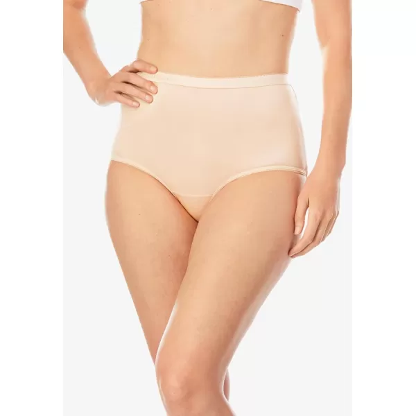 Comfort Choice Women's Plus Size Nylon Brief 10-Pack Underwear