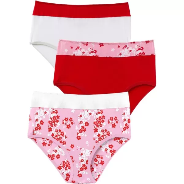 Comfort Choice Women's Plus Size Cotton 3-Pack Color Block Full-Cut Brief Underwear