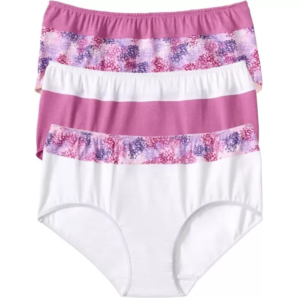 Comfort Choice Women's Plus Size Cotton 3-Pack Color Block Full-Cut Brief Underwear
