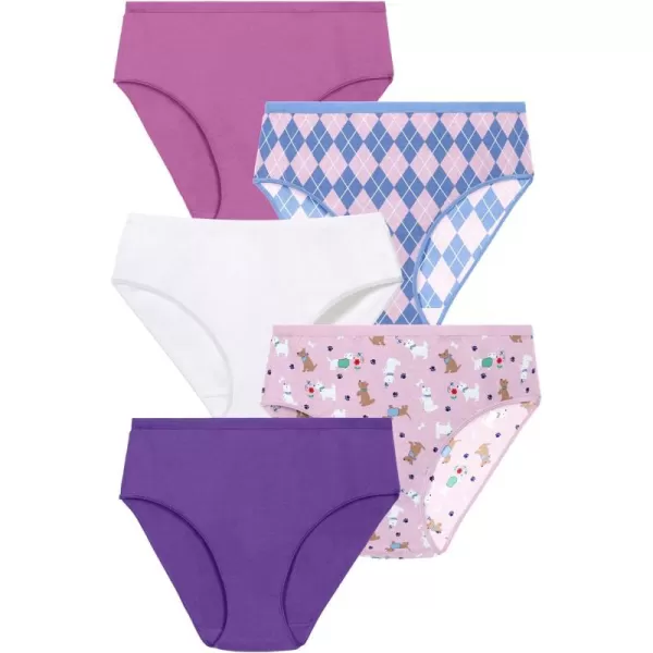 Comfort Choice Women's Plus Size Hi-Cut Cotton Brief 5-Pack