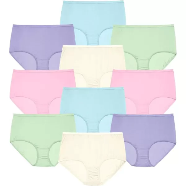 Comfort Choice Women's Plus Size Nylon Brief 10-Pack Underwear