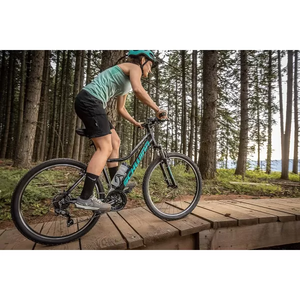 imageSchwinn Mesa Adult Mountain Bike 2124 Speeds 275Inch Wheels Small to XLarge Aluminum Frame Multiple ColorsMesa 3 Black