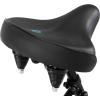 imageSchwinn Mikko Adult Beach Cruiser BikeBlack