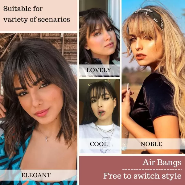NAYOO Bangs Hair Clip in Bangs 100% Real Human Hair Extensions French Bangs Clip on Hair Bangs for Women Fringe with Temples Hairpieces Curved Bangs for Daily Wear
