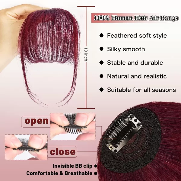 NAYOO Bangs Hair Clip in Bangs 100% Real Human Hair Extensions French Bangs Clip on Hair Bangs for Women Fringe with Temples Hairpieces Curved Bangs for Daily Wear
