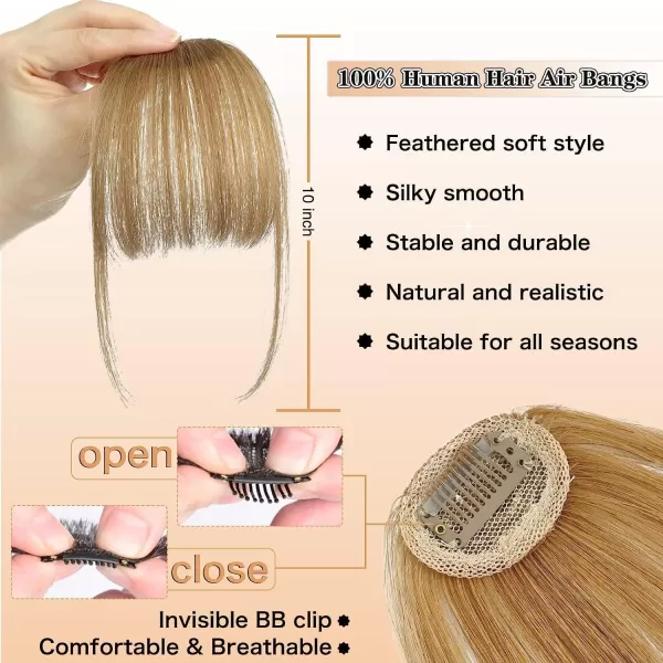 NAYOO Bangs Hair Clip in Bangs 100% Real Human Hair Extensions French Bangs Clip on Hair Bangs for Women Fringe with Temples Hairpieces Curved Bangs for Daily Wear