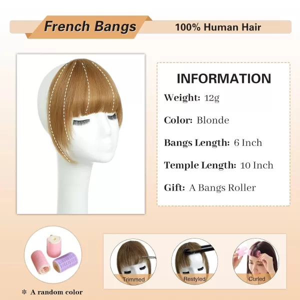 NAYOO Bangs Hair Clip in Bangs 100% Real Human Hair Extensions French Bangs Clip on Hair Bangs for Women Fringe with Temples Hairpieces Curved Bangs for Daily Wear