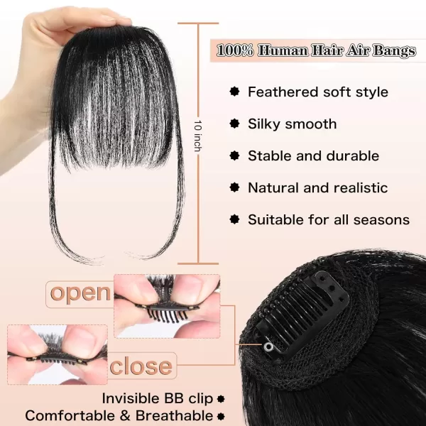 NAYOO Bangs Hair Clip in Bangs 100% Real Human Hair Extensions French Bangs Clip on Hair Bangs for Women Fringe with Temples Hairpieces Curved Bangs for Daily Wear
