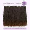 imageBohemain Box Braids Crochet Hair for Black Women 14Inch Boho Crochet Hair Pre Looped 8PK Crochet Boho Braids with Curly Ends1B30