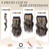 imageNAYOO Clip in Hair Extensions for Women 20 Inch Long Wavy Curly Auburn Hairpieces Full Head Synthetic Hair Hairpieces6PCSAuburnBlack Mix Blonde