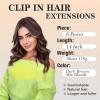 imageNAYOO Clip in Hair Extensions for Women 20 Inch Long Wavy Curly Auburn Hairpieces Full Head Synthetic Hair Hairpieces6PCSAuburnDark Brown Mix Blonde