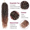 imagePassion Twist Hair  8 Packs 14 Inch Passion Twist Crochet Hair For Women Crochet Pretwisted Curly Hair Passion Twists Synthetic Braiding Hair Extensions 14 Inch 8 Packs T27T30