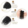 imagePassion Twist Hair  8 Packs 14 Inch Passion Twist Crochet Hair For Women Crochet Pretwisted Curly Hair Passion Twists Synthetic Braiding Hair Extensions 14 Inch 8 Packs T271B