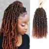 imagePassion Twist Hair  8 Packs 14 Inch Passion Twist Crochet Hair For Women Crochet Pretwisted Curly Hair Passion Twists Synthetic Braiding Hair Extensions 14 Inch 8 Packs T27T350