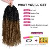 imagePassion Twist Hair  8 Packs 14 Inch Passion Twist Crochet Hair For Women Crochet Pretwisted Curly Hair Passion Twists Synthetic Braiding Hair Extensions 14 Inch 8 Packs T27OT27