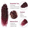 imagePassion Twist Hair  8 Packs 14 Inch Passion Twist Crochet Hair For Women Crochet Pretwisted Curly Hair Passion Twists Synthetic Braiding Hair Extensions 14 Inch 8 Packs T27TBUG