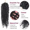 imagePassion Twist Hair  8 Packs 14 Inch Passion Twist Crochet Hair For Women Crochet Pretwisted Curly Hair Passion Twists Synthetic Braiding Hair Extensions 14 Inch 8 Packs T271 B